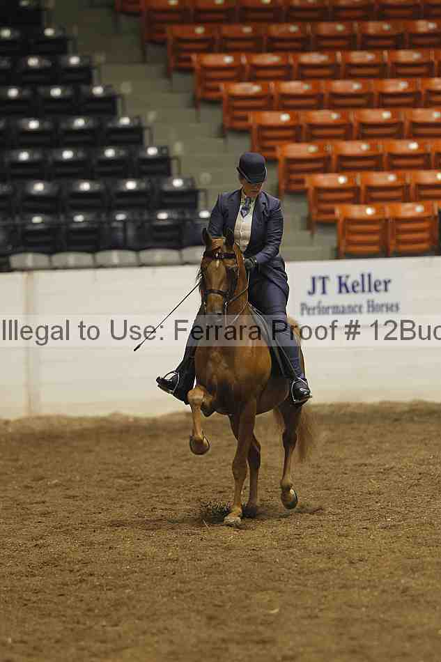 Proof 12buck_0395
