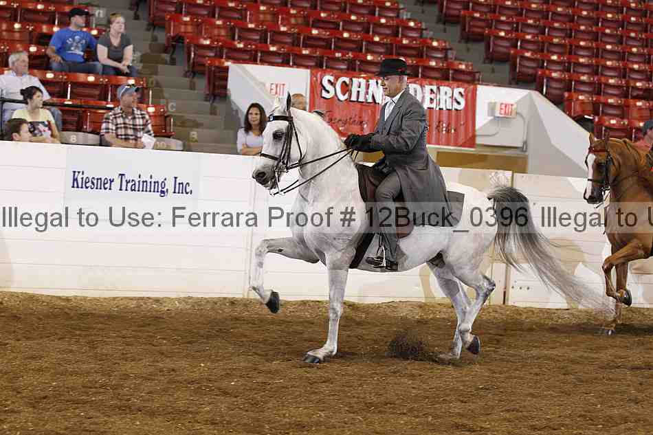 Proof 12buck_0396