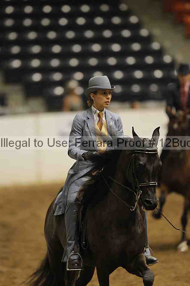 Proof 12buck_0397