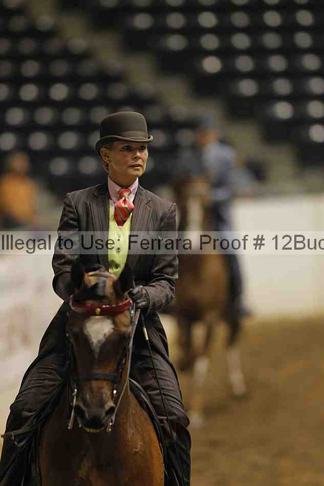 Proof 12buck_0402