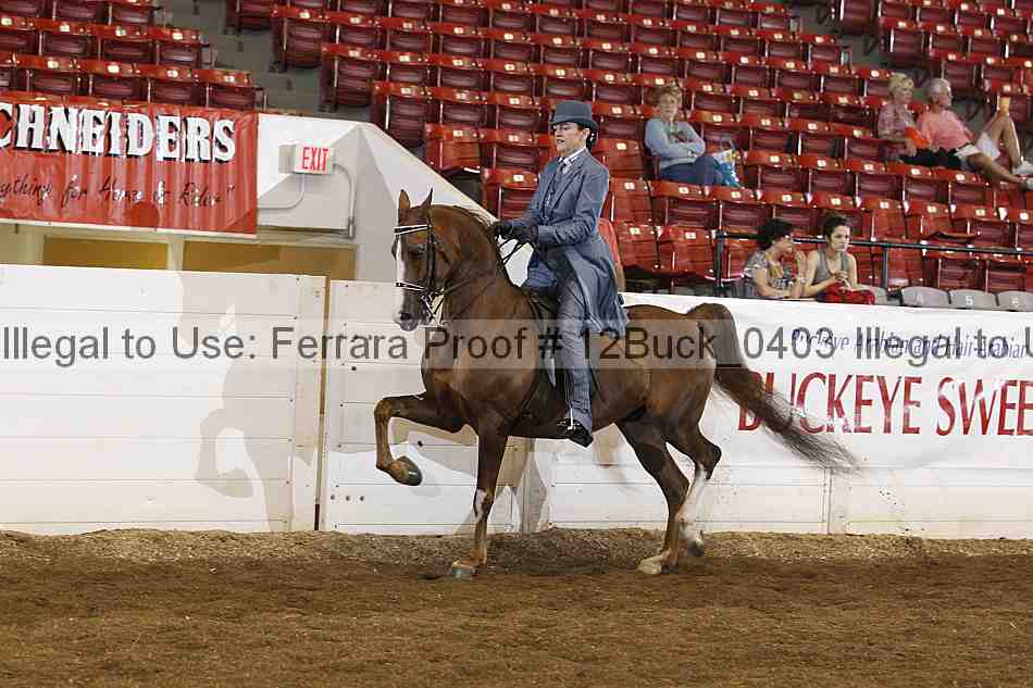 Proof 12buck_0403