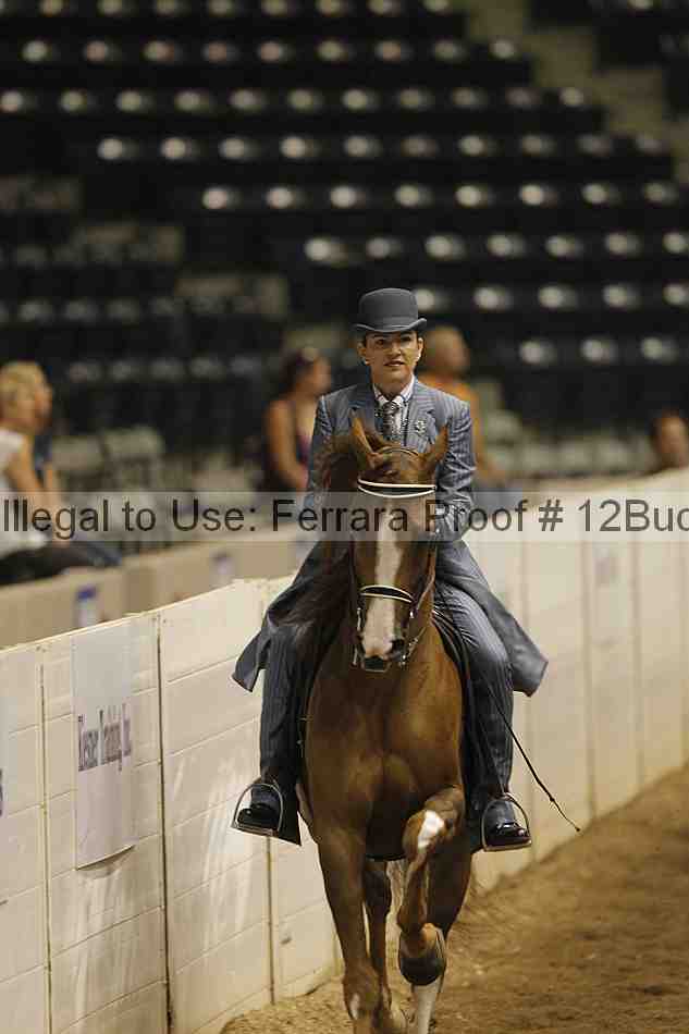 Proof 12buck_0404