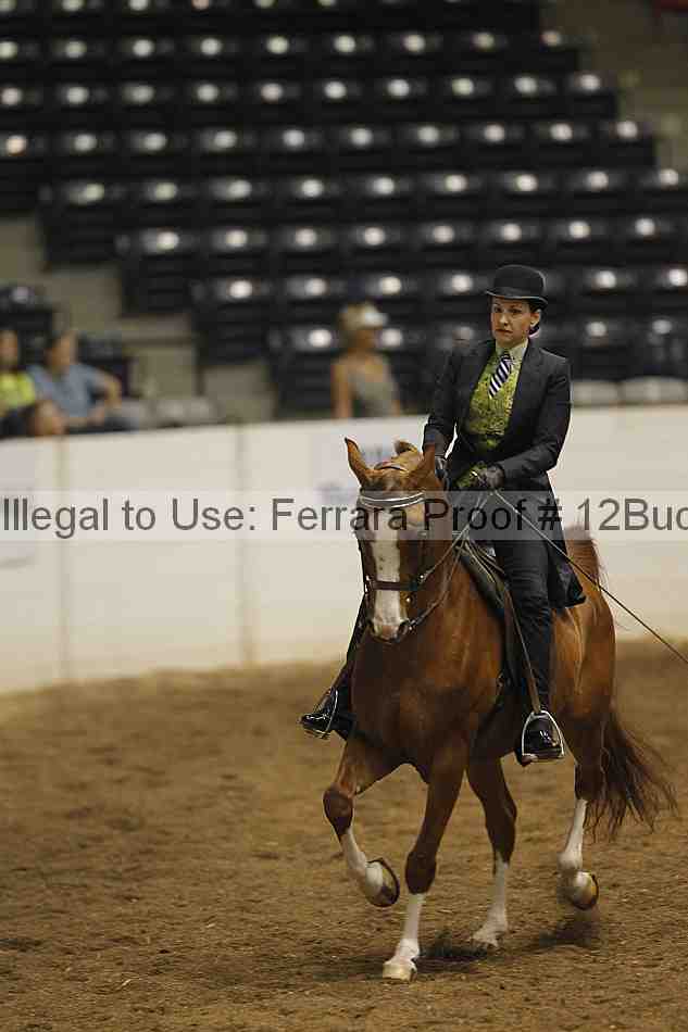 Proof 12buck_0405