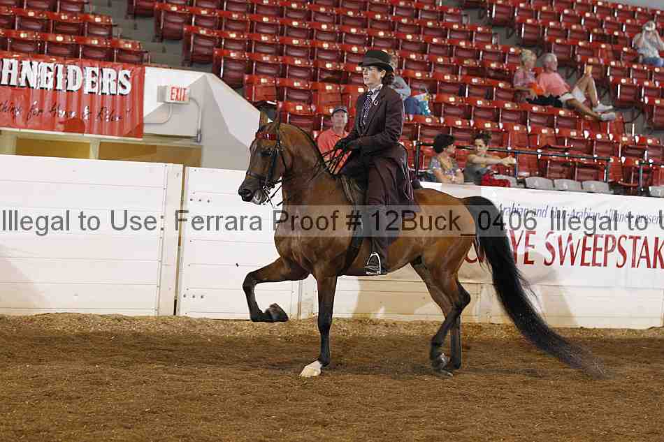 Proof 12buck_0406