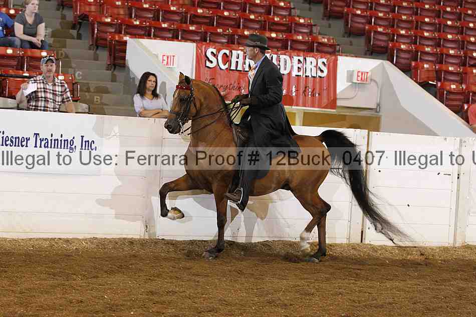 Proof 12buck_0407