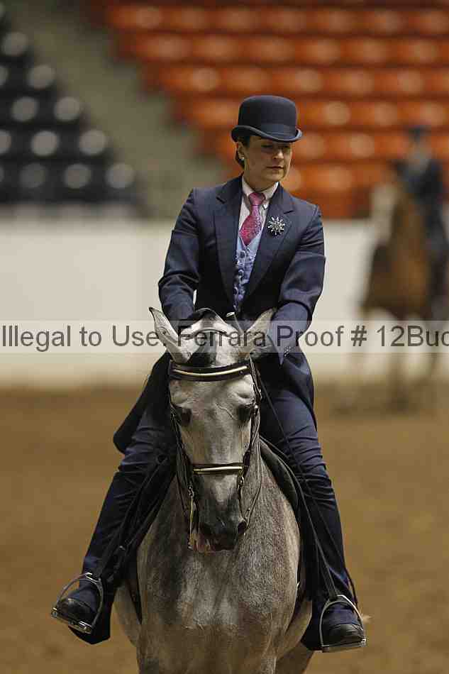 Proof 12buck_0408