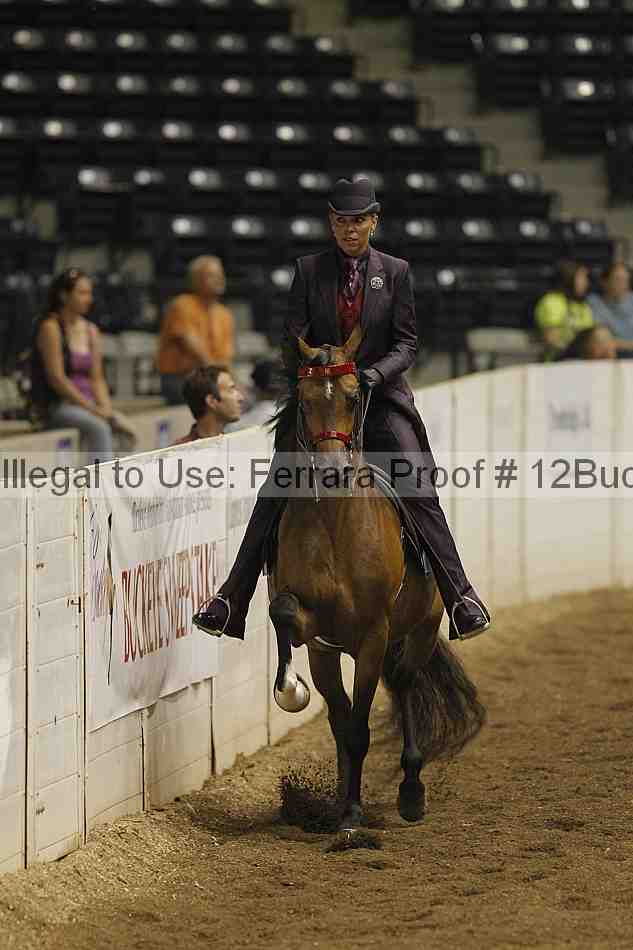 Proof 12buck_0410