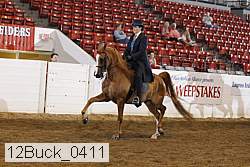 12buck_0411 proof