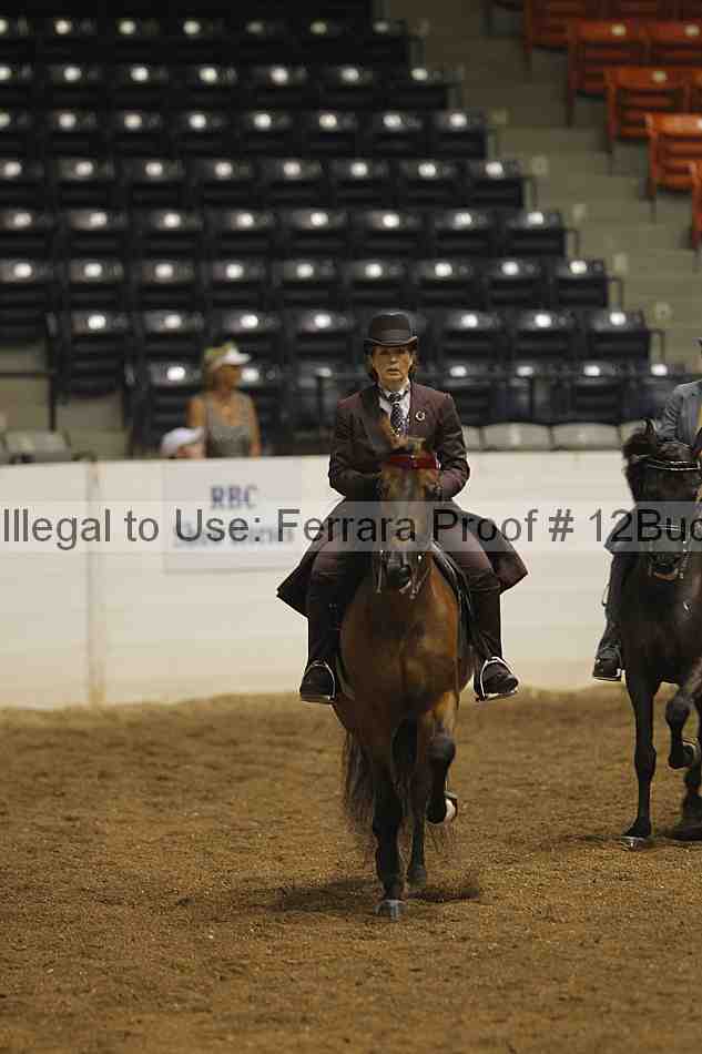 Proof 12buck_0412