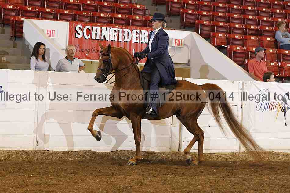 Proof 12buck_0414