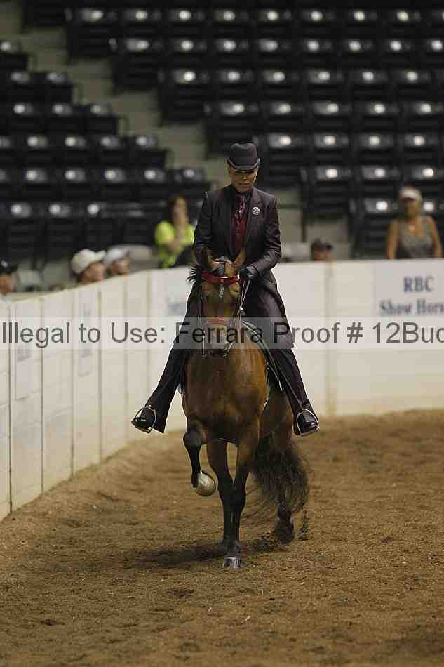 Proof 12buck_0419