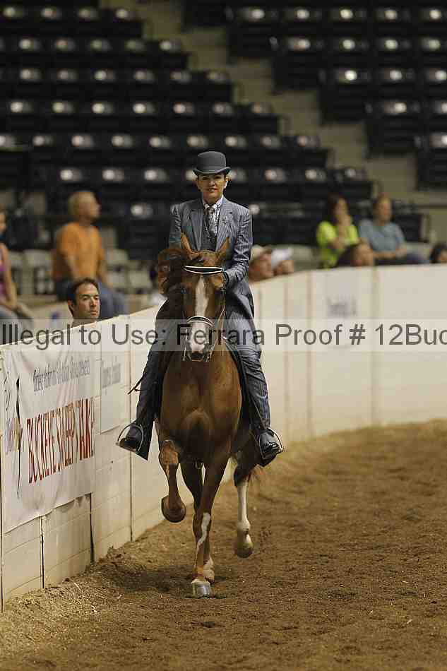 Proof 12buck_0421