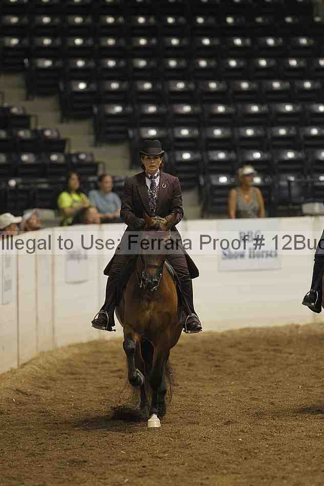 Proof 12buck_0423