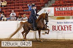 12buck_0425 proof