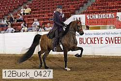 12buck_0427 proof
