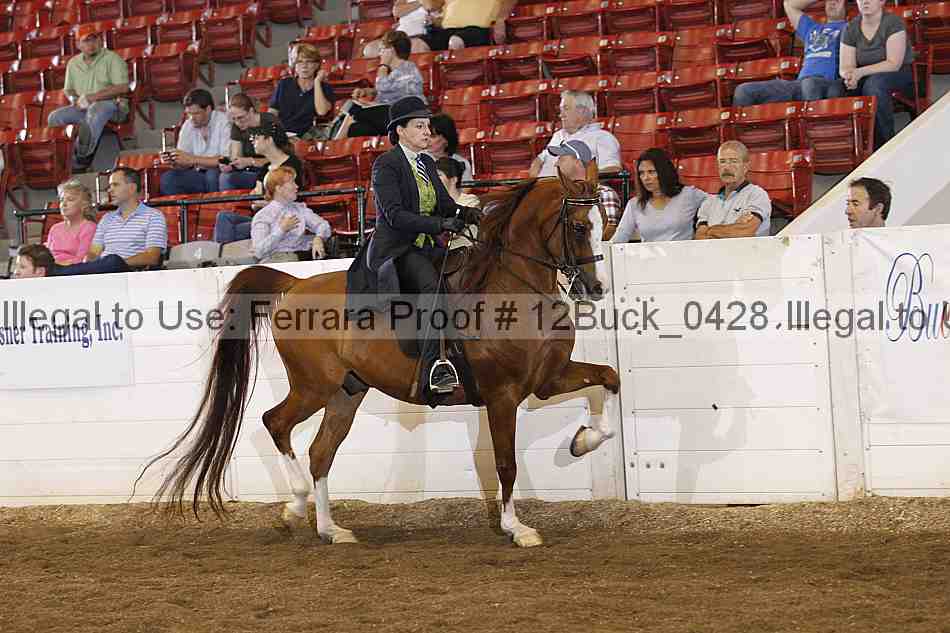 Proof 12buck_0428