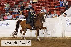 12buck_0428 proof
