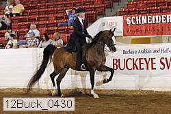 12buck_0430 proof