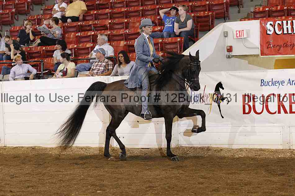 Proof 12buck_0431