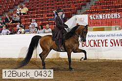 12buck_0432 proof