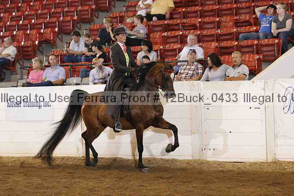 Proof 12buck_0433