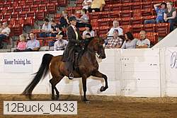 12buck_0433 proof