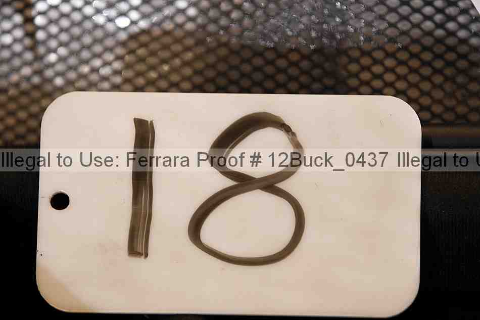 Proof 12buck_0437