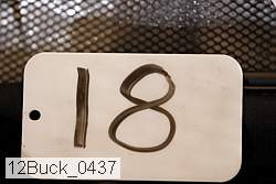 12buck_0437 proof