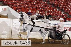 12buck_0438 proof