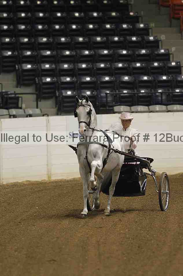 Proof 12buck_0441