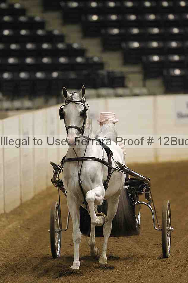 Proof 12buck_0443