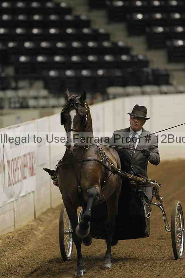 Proof 12buck_0446