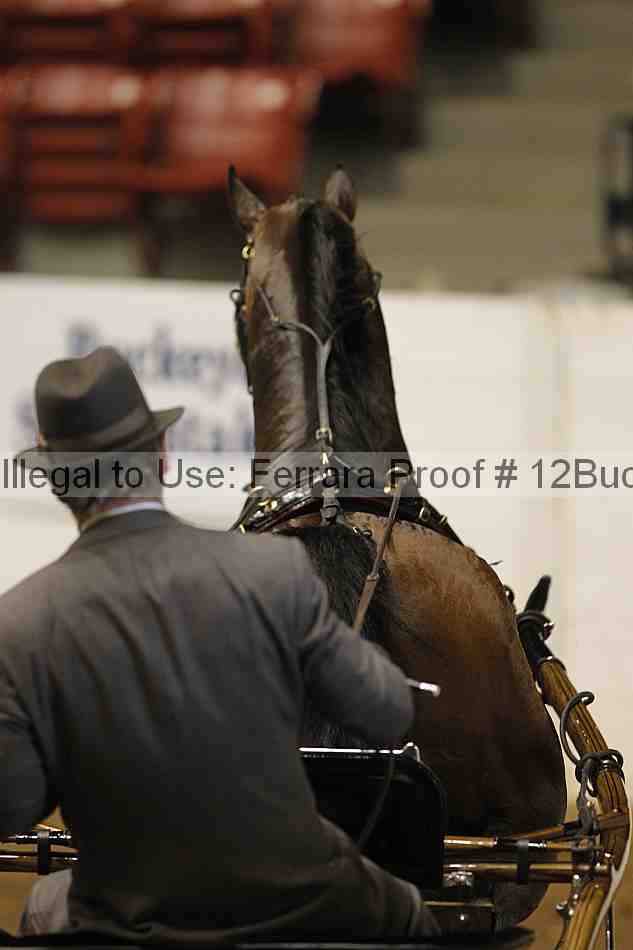 Proof 12buck_0447