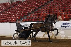 12buck_0452 proof