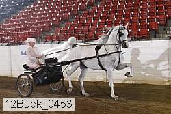 12buck_0453 proof