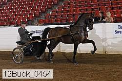 12buck_0454 proof