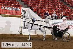 12buck_0456 proof