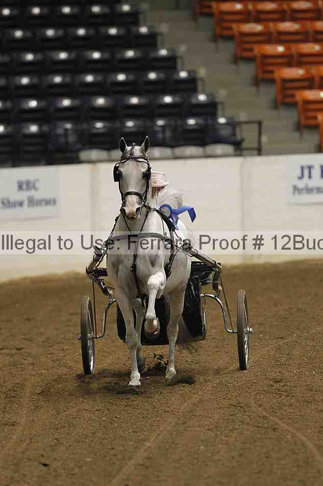 Proof 12buck_0457