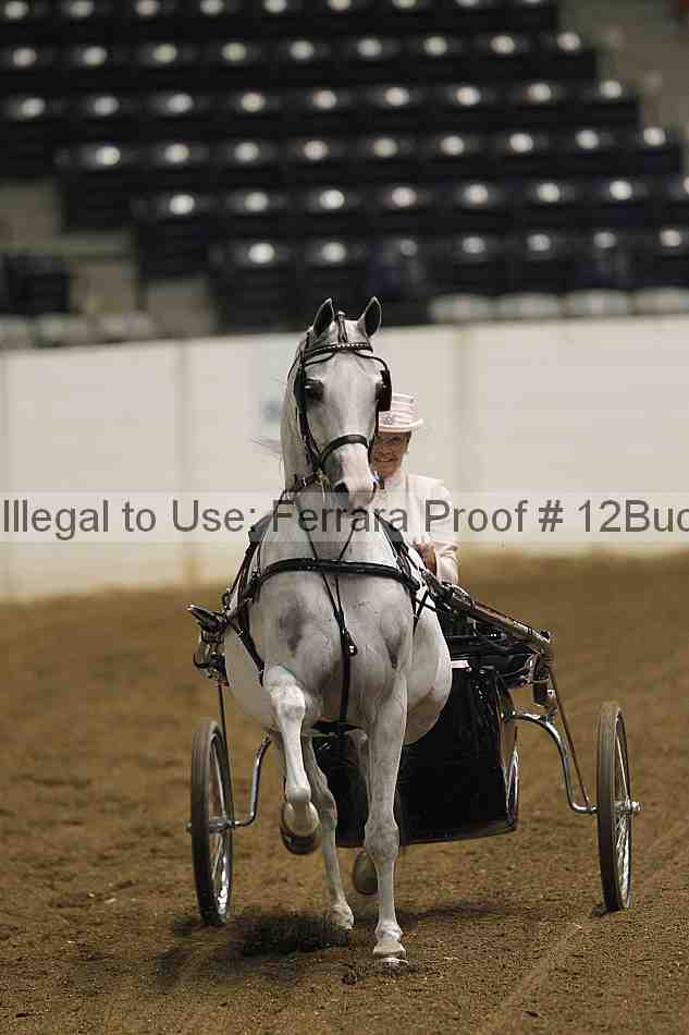Proof 12buck_0458
