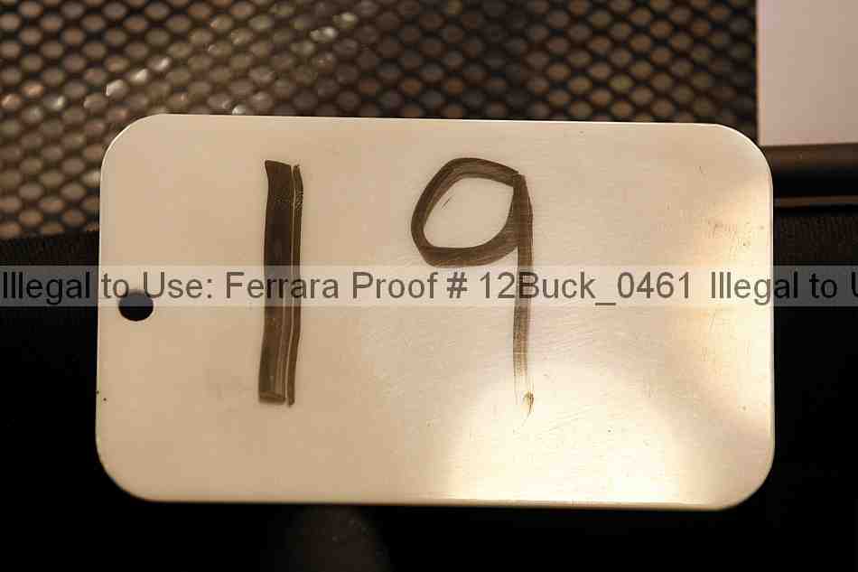 Proof 12buck_0461