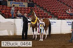 12buck_0464 proof