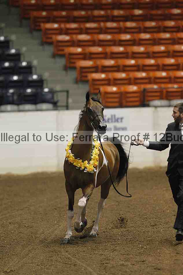 Proof 12buck_0468