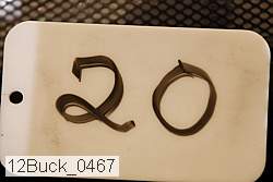 12buck_0467 proof
