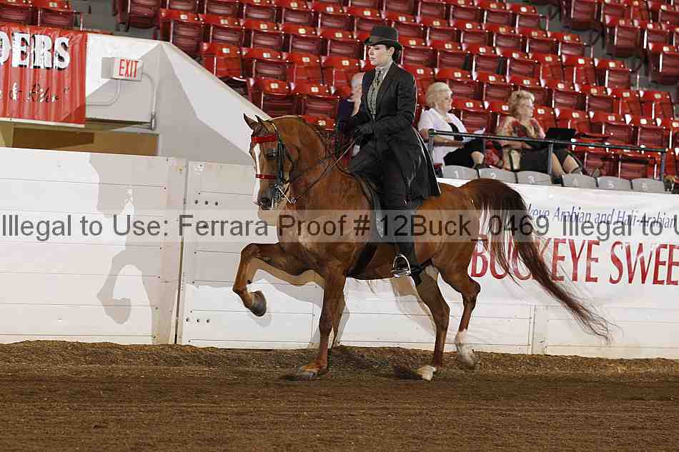 Proof 12buck_0469