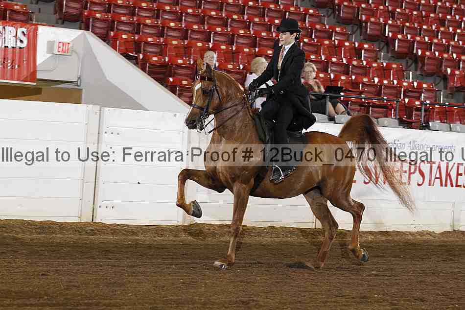 Proof 12buck_0470
