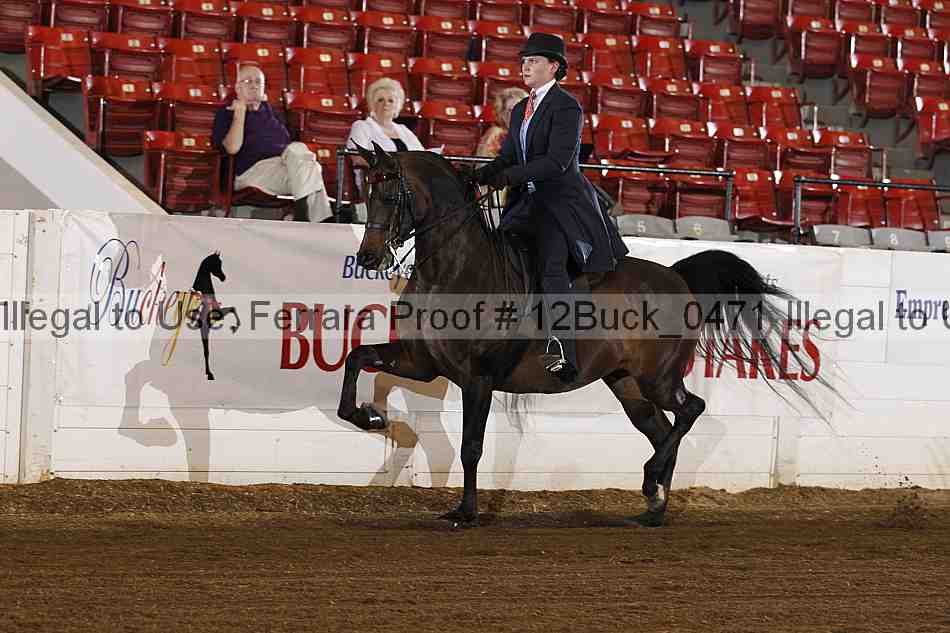 Proof 12buck_0471