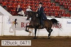 12buck_0471 proof
