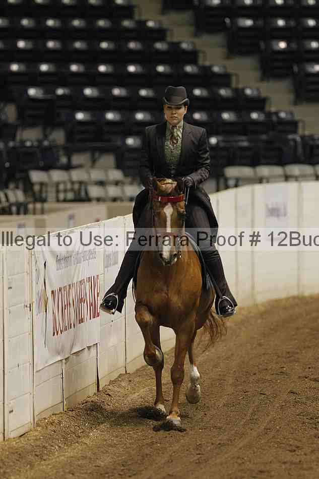 Proof 12buck_0472