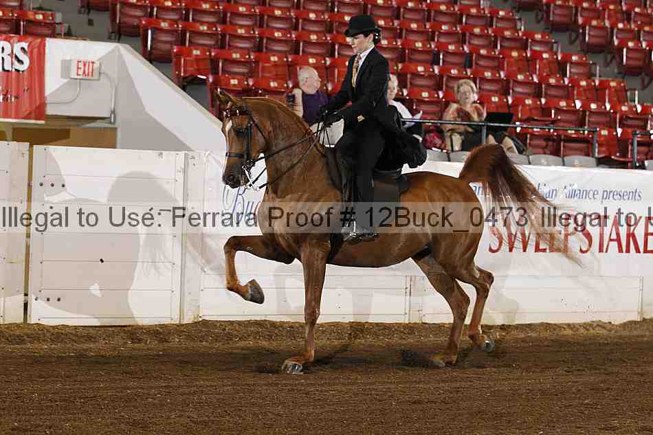 Proof 12buck_0473