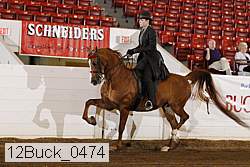 12buck_0474 proof